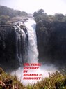 The Final Victory - Susanna C. Mahoney - 9781458118158