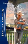 Fortune's Secret Baby - Christyne Butler - 9781459201965