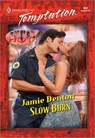 SLOW BURN - Jamie Denton - 9781460371923