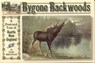 Bygone Backwoods - Earl Brechlin - 9781461745020