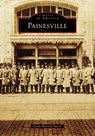 Painesville - Sandy Mitchell Pavick - 9781467162517