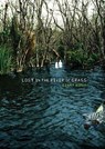 Lost in the River of Grass - Ginny Rorby - 9781467731676