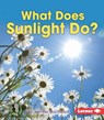What Does Sunlight Do? - Jennifer Boothroyd - 9781467744966