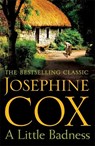 A Little Badness - Josephine Cox - 9781472245748