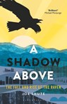 A Shadow Above - Joe Shute - 9781472940292