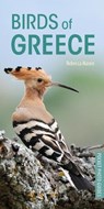 Birds of Greece - Rebecca Nason - 9781472949035