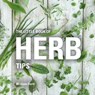 The Little Book of Herb Tips - FORTT,  William - 9781472954633