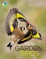 RSPB Garden Birds - Marianne Taylor - 9781472955913