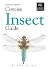 Concise Insect Guide - Bloomsbury - 9781472963765