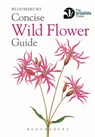 Concise Wild Flower Guide - Bloomsbury - 9781472963802