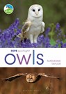 RSPB Spotlight Owls - Marianne Taylor - 9781472980281
