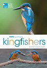 RSPB Spotlight Kingfishers - David (Author) Chandler - 9781472987617