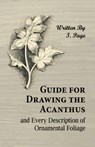 Guide for Drawing the Acanthus, and Every Description of Ornamental Foliage - I. Page - 9781473328754