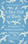 A Sky Full of Birds - Matt Merritt - 9781473503328