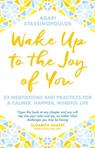 Wake Up To The Joy Of You - Agapi Stassinopoulos - 9781473543089