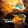 What's in a Cave? - Martha E. H. Rustad - 9781474706025