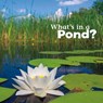What's in a Pond? - Martha E. H. Rustad - 9781474706049