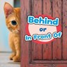Behind or In Front Of - Wiley Blevins - 9781474768740