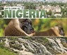 Let's Look at Nigeria - Mary Meinking - 9781474784689