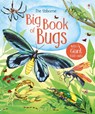 Big Book of Bugs - Emily Bone - 9781474928960
