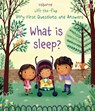 Very First Questions and Answers What is Sleep? - Katie Daynes - 9781474940108