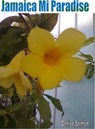 Jamaica Mi Paradise - Denise Salmon - 9781476371641