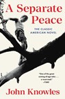 A Separate Peace - John Knowles - 9781476777030