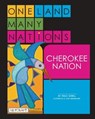 One Land, Many Nations: Volume 1: Volume 1 - Traci Sorell - 9781478868149