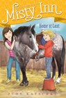 Home at Last - Judy Katschke - 9781481469944