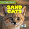Sand Cats - Kristen Rajczak Nelson - 9781482471274