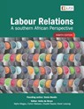 Labour Relations - Sonia Bendix ; Anita de Bruyn ; Calvin Mabaso - 9781485131571