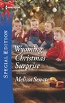 Wyoming Christmas Surprise - Melissa Senate - 9781488093975