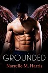 Grounded - Narrelle M. Harris - 9781489276834