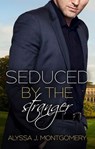 Seduced by the Stranger (Billionaires & Babies, #2) - Alyssa J. Montgomery - 9781489279361