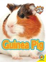 Guinea Pig - FORAN,  Jill - 9781489629630