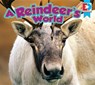 A Reindeer's World - John Willis - 9781489651815