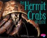 Pet Hermit Crabs Up Close - Gail Saunders-Smith - 9781491423233