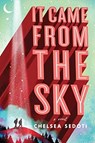 It Came from the Sky - Chelsea Sedoti - 9781492673026