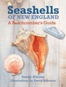 Seashells of New England - David Scheirer ; Sandy Allison - 9781493027903