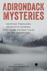Adirondack Mysteries - Dennis Webster - 9781493080625