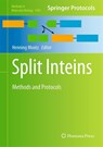 Split Inteins - Henning D. Mootz - 9781493964499