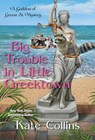 Big Trouble in Little Greektown - Kate Collins - 9781496724373