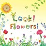 Look! Flowers! - Stephanie Calmenson - 9781499801156