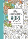 The Color of God's Hope - Lisa Stilwell - 9781501151941