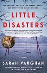 Little Disasters - Sarah Vaughan - 9781501172229