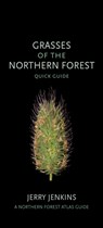 Grasses of the Northern Forest - Jerry Jenkins - 9781501764318