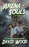 Arena of Souls- A Brock Stone Adventure - David Wood - 9781502230881