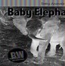 Baby Elephants - Nicole Horning - 9781502655974