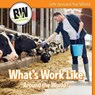 What's Work Like Around the World? - CONNORS,  Kathleen - 9781502659507