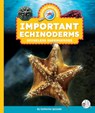 Important Echinoderms: Spineless Superheroes - Catherine Ipcizade - 9781503894525